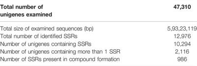 Transcriptome Analysis of Pennisetum glaucum (L.) R. Br. Provides Insight Into Heat Stress Responses